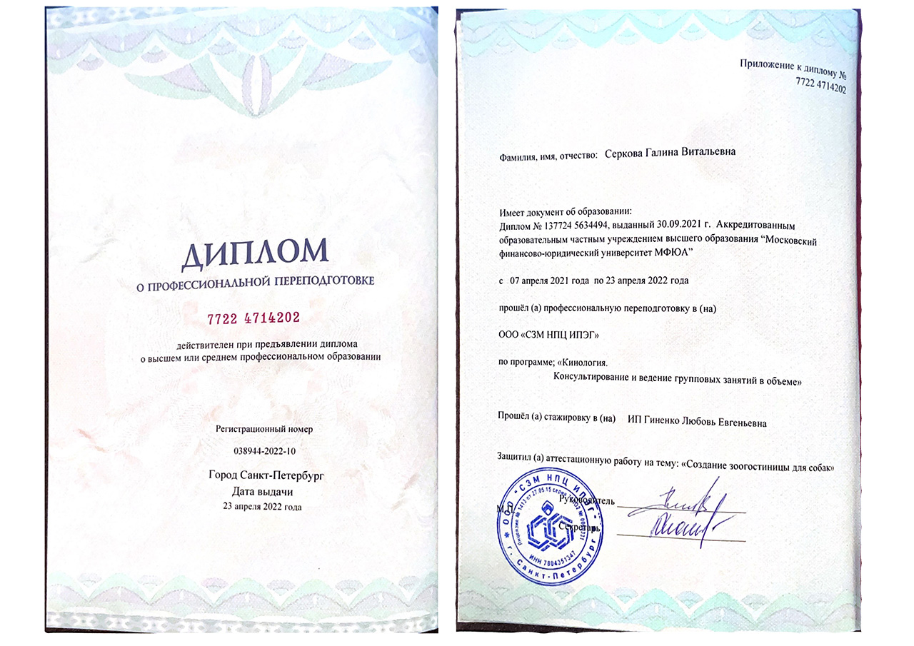 Serkova-G_cer_02_01