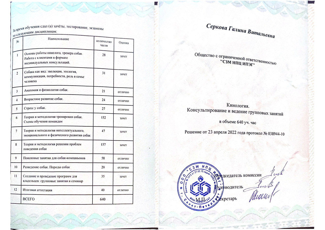 Serkova-G_cer_02_02
