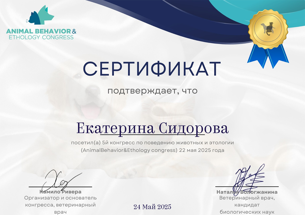 Sidorova-E_cer_06