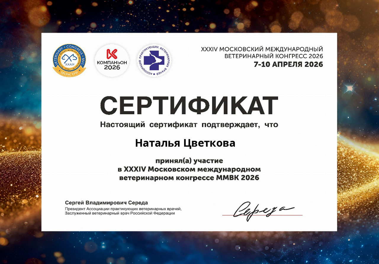 Tcvetkova-N_cer_02