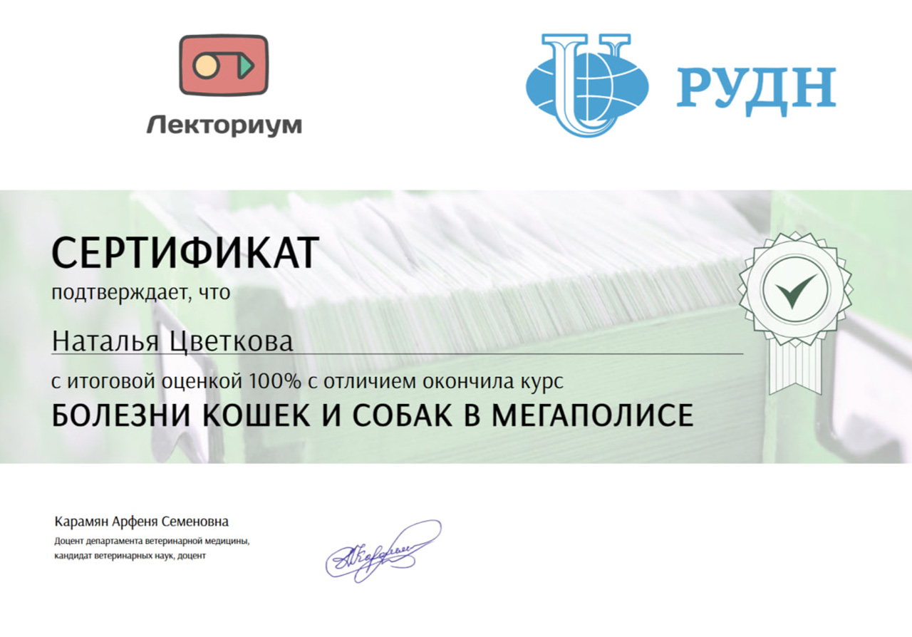 Tcvetkova-N_cer_03