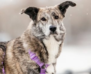 13-12-nikaviktoriya-005