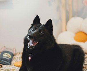 20260130-IMG_2989_11zon