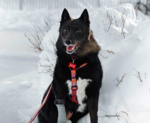 20260130-IMG_3002_11zon