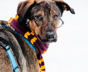 22-12-nikaviktoriya-034