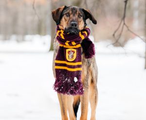 22-12-nikaviktoriya-042