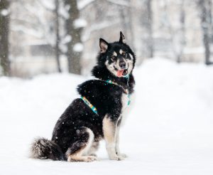 25-01-nikaviktoriya-098