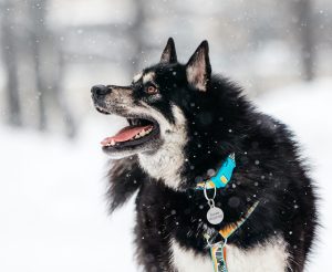 25-01-nikaviktoriya-102