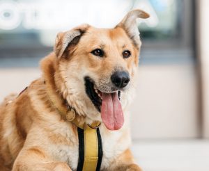 26-07-nikaviktoriya-050