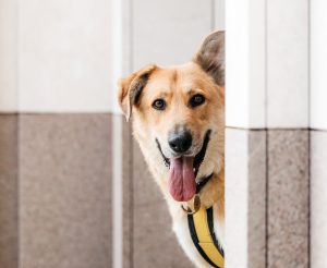 26-07-nikaviktoriya-051