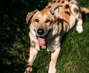 26-07-nikaviktoriya-052