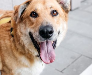 26-07-nikaviktoriya-054