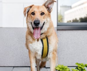 26-07-nikaviktoriya-055