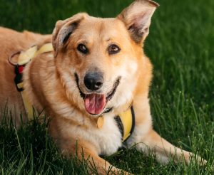 26-07-nikaviktoriya-057