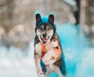 8hDGNwjT7bg-UICWCc0mjQ-1