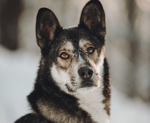 C_MOstGHhb4od32OMXgV4Q