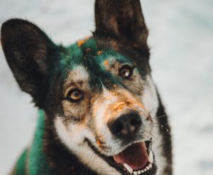 Es4KxrIa9Ww1OcCiVppIiQ