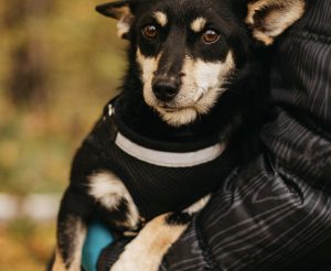 image-01-11-25-01-21-1