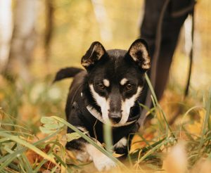 image-01-11-25-01-21-2