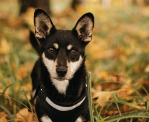 image-01-11-25-01-21