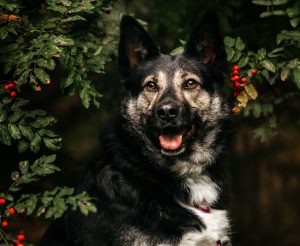 image-05-11-25-10-02-2