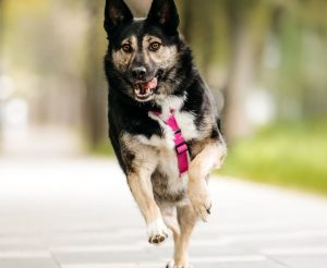 image-05-11-25-10-02-3