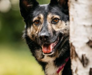 image-05-11-25-10-02-4