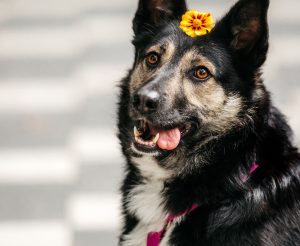 image-05-11-25-10-02-5