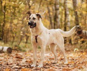 IMG_20251014_165508_170