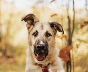 IMG_20251014_165508_203