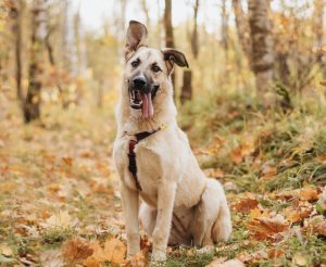 IMG_20251014_165508_214