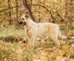 IMG_20251014_165508_339