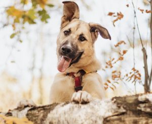 IMG_20251014_165508_417