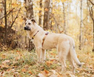 IMG_20251014_165508_504