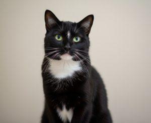 IMG_20251119_131803_628