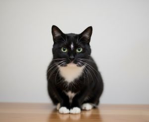 IMG_20251119_131803_828 (1)