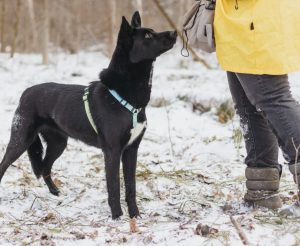 IMG_20251221_170834_543