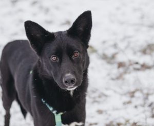 IMG_20251221_170834_648