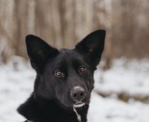 IMG_20251221_170835_029