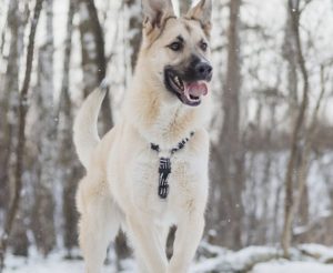 IMG_20260104_201720_015