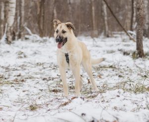 IMG_20260104_201720_043