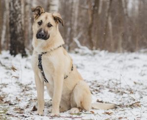 IMG_20260104_201720_129