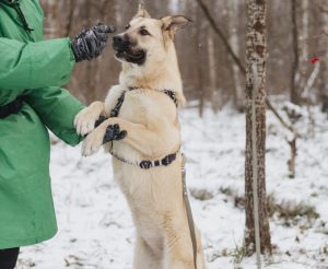 IMG_20260104_201720_570