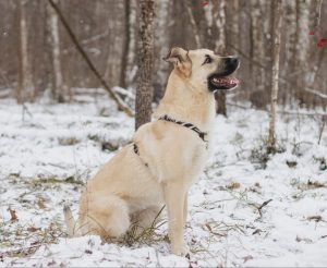 IMG_20260104_201720_673