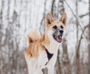 IMG_20260104_203134_430