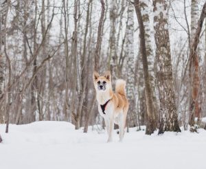 IMG_20260104_203134_560