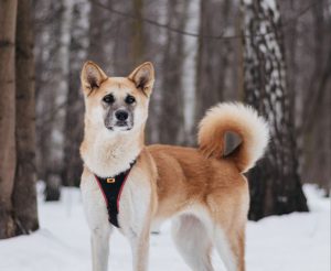 IMG_20260104_203134_780