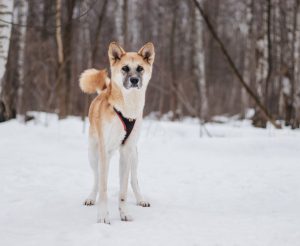 IMG_20260104_203135_302