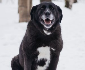 IMG_20260104_204242_968