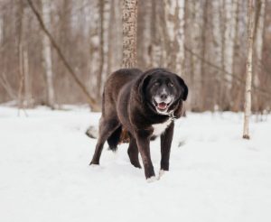 IMG_20260104_204243_181